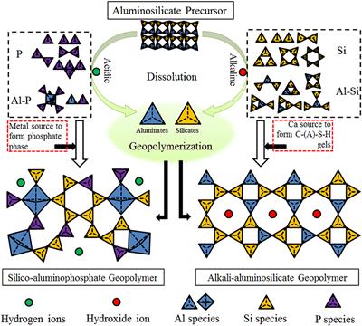 Silico-Aluminophosphate and Alkali-Aluminosilicate Geopolymers: A Comparative Review